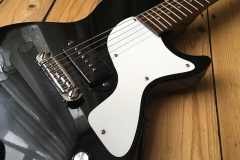 lpj_pick_guard_bridge